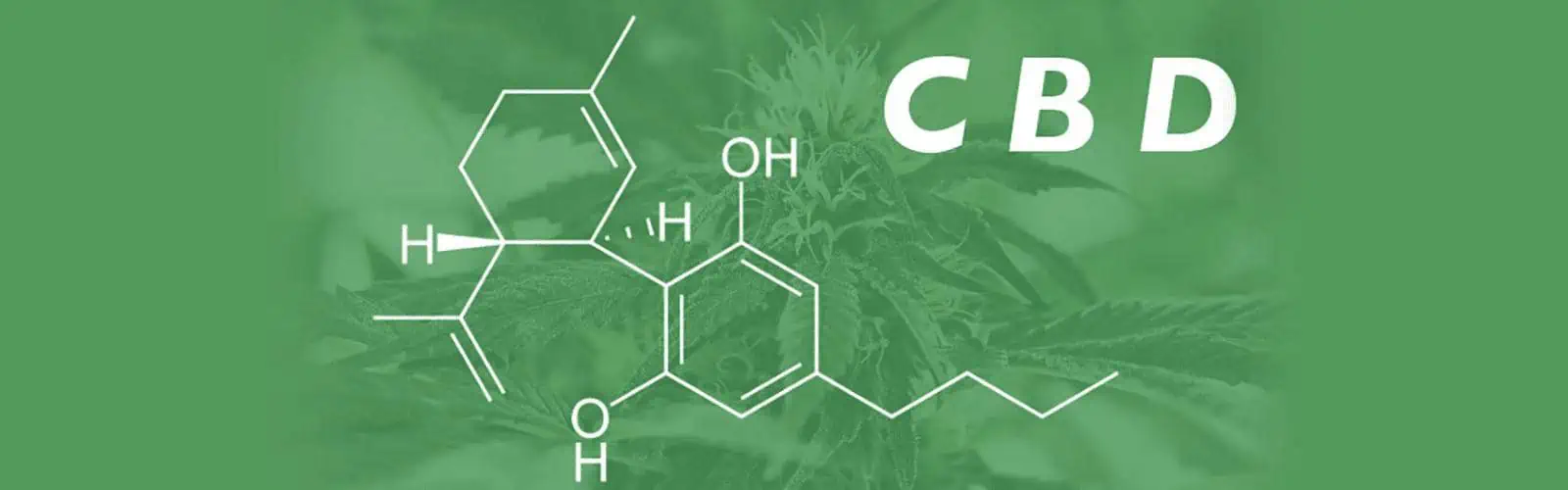 What is cbd oil used for? what is cbd oil used for