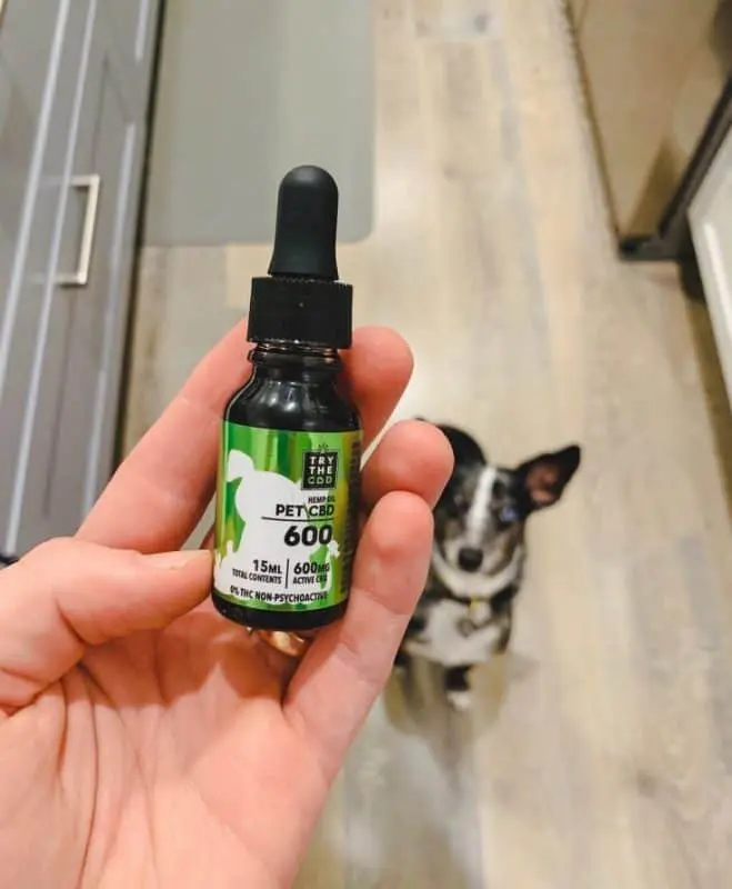 Where to Buy CBD in Jacksonville Where to Buy CBD in Jacksonville