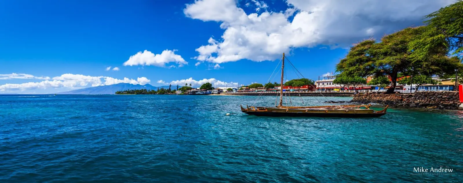 Where To Buy CBD in Hawaii