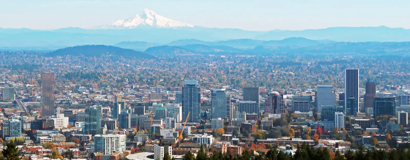 Where To Buy CBD in Portland